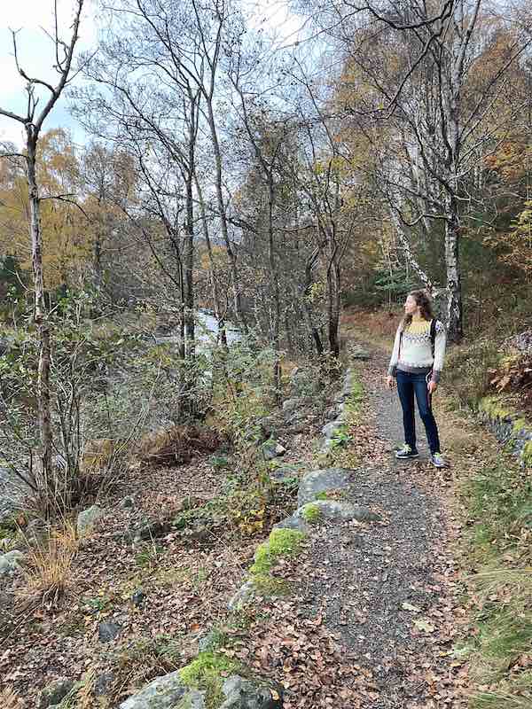 Die Kraft des Coachings