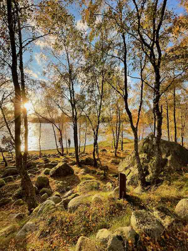 Julia Nabulon Träume leben