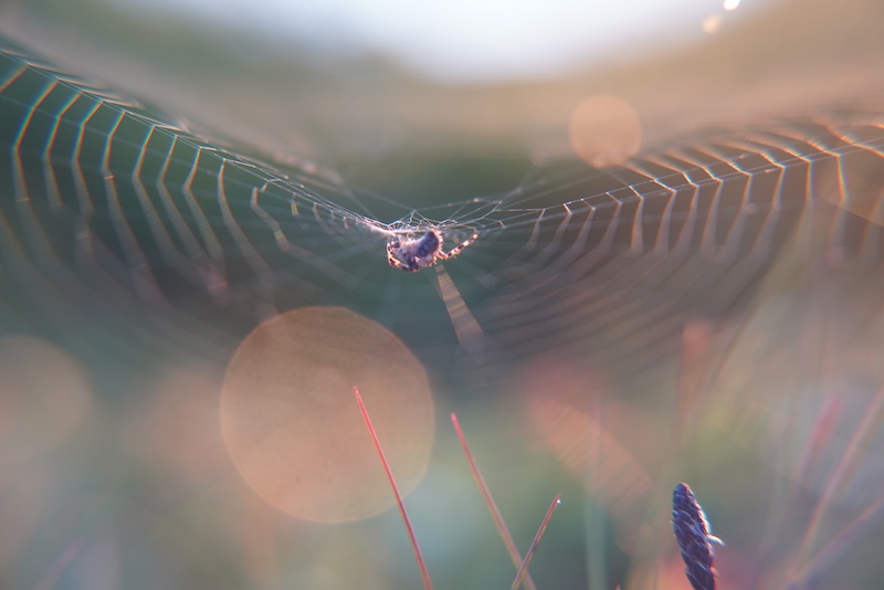 dein sicherer innerer Raum